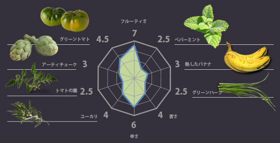 テイストチャート